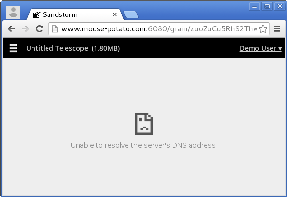 Unable to resolve the server's DNS address, screenshot in Chromium